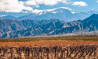 Mendoza, Argentina landscape of mendoza wine regions in argentina