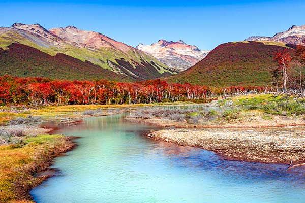 beautiful colourful landscape red trees mountains and blue stream at tierra del fuegos national park in argentina