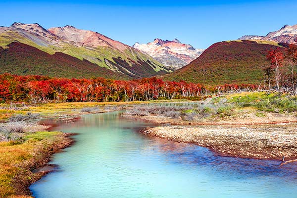Tierra del Fuegos National Park, Argentina beautiful colourful landscape red trees mountains and blue stream at tierra del fuegos national park in argentina