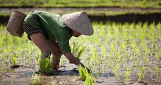 Highlights of Indochina Venture into Indochina on your own bespoke trip