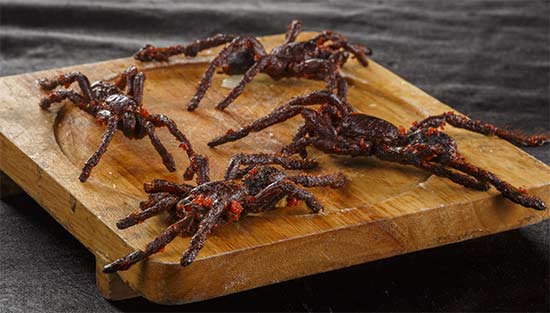 Tarantula's are a common snack in Cambodia Cambodia's fascination with eating bugs and insects doesn't stop their they even east tarantula's and scorpians