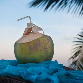 Fresh coconut juice is healthy and refreshing on a hot humid day when exploring cambodia