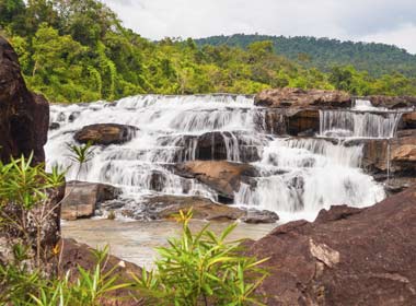 The Cardamom Mountains are a pristine rainforest which are home to a variety of wildlife