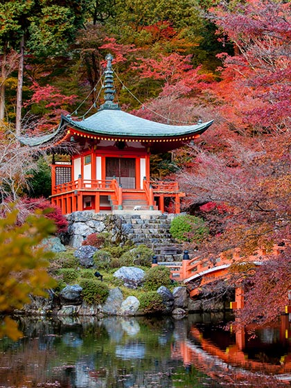Temple in Japanese Garden pagoda temple in japanese garden in autumn pond and bridge