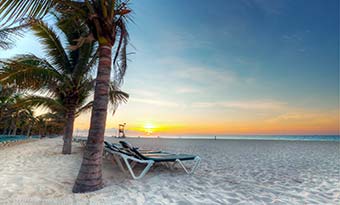 Discover Mexico on a group tour paradise beach with palm trees and white sand in Mexico