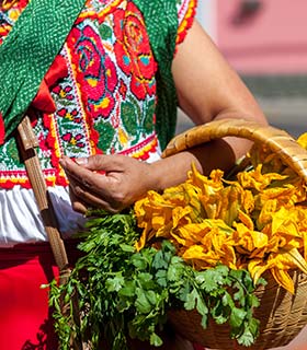 Traditional Mexican culture mexican woman wearing traditional clothing carrying flowers in a basket