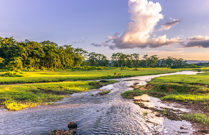 Chitwan National Park Blog an adventure in Chitwan national park, one of the highlights of travelling Nepal