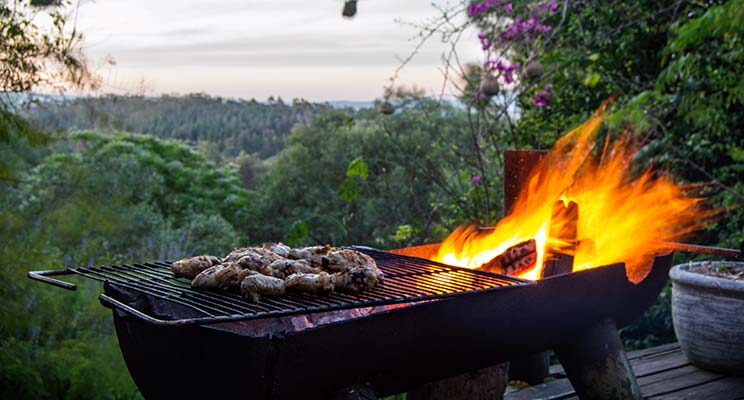 South African Braai cooking meat on a south african bbq called braai with forest in background