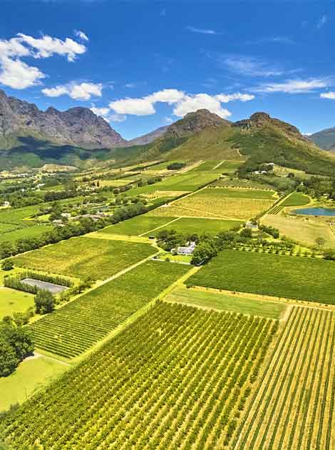 Vineyards outside of Franschoek, South Africa South Africa is known for its wine and vineyards