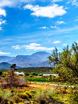 Klein Karoo National Arts Festival, South Africa Klein karoo countryside in south africa events
