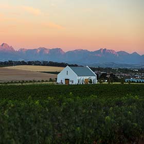 Sunset at the Winelands in South Africa sunet at the winelands in summer in south africa