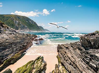 visit the beautiful beaches of south africa in the wild coast