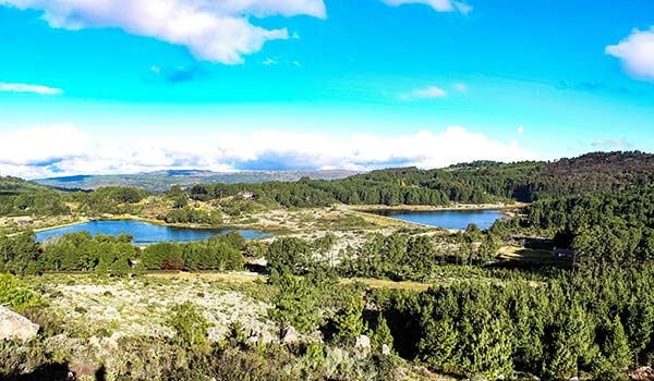 Nyanga National Park, Zimbabwe green landscape and naural lakes in nyanga national park zimbabwe