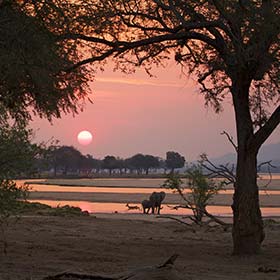 Best time to visit Zimbabwe elephant in national park at sunset in zimbabwe