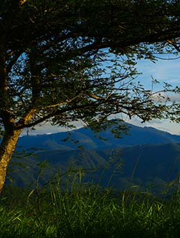 Chimanimani Arts Festival View of chimanimani in the eastern highlands of zimbabwe