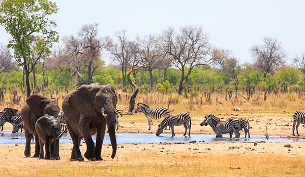 Cost of admissions in Zimbabwe Cost of admissions in zimbabwe