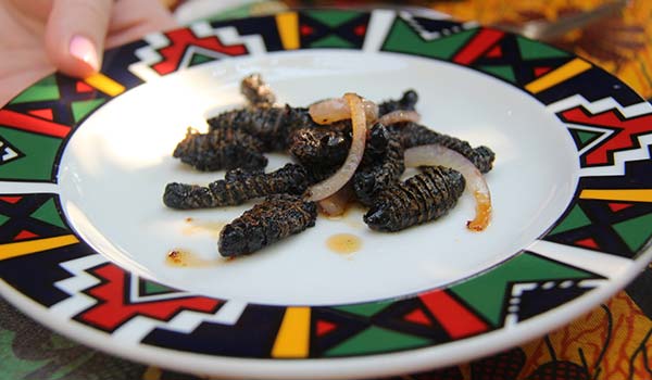 traditional food in Zimbabwe mopane worms