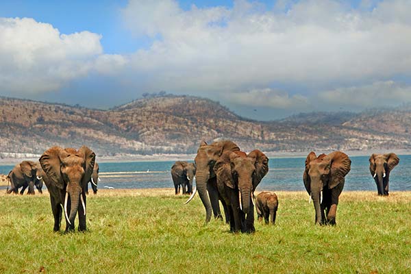 Geography and landscape of Zimbabwe geography and landscape of zimbabwe