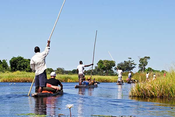 image of polers on mokoros in the Okavango Delta