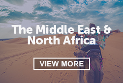 Group tours to the middle east and north Africa on a camel trek safari in the desert