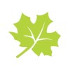 seasons in europe spring icon of green leaf