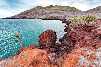 Red rock landscape of Santiago Island in the Galápagos Island