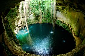 Looking down into the pool cave with vines leading into the pool on a group tour to Ik Kil Cenote Chichen Itza Mexico