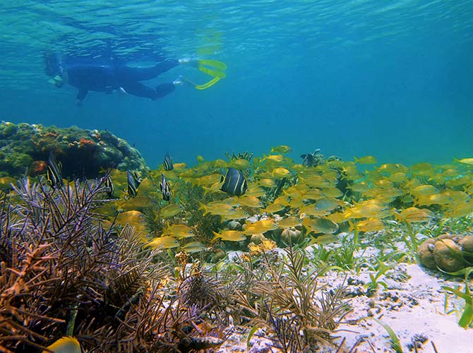 The Great Barrier Reef, Australia