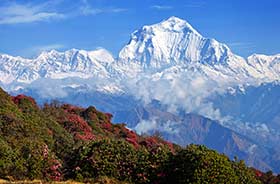Mount Everest, Nepal, Asia View of Mount everests white peaks and grassy region below