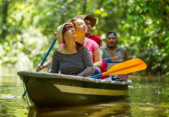 tour group on a journey through the amazon river via kayak with their tour guide through the amazon rainforest