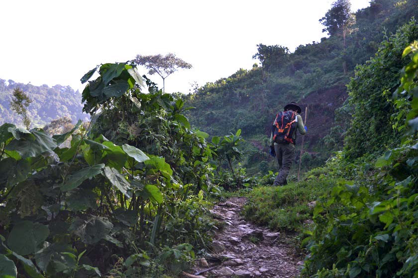 packing list guide for a hiking tour in Uganda's Bwindi impenetrable forest to see the gorilla's on a trekking tour