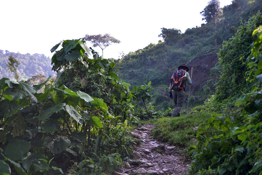 Hiking through the Bwindi Impenetrable Forest packing list guide for a hiking tour in Uganda's Bwindi impenetrable forest to see the gorilla's on a trekking tour