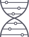 DNA icon symbol for relation gorillas for humans