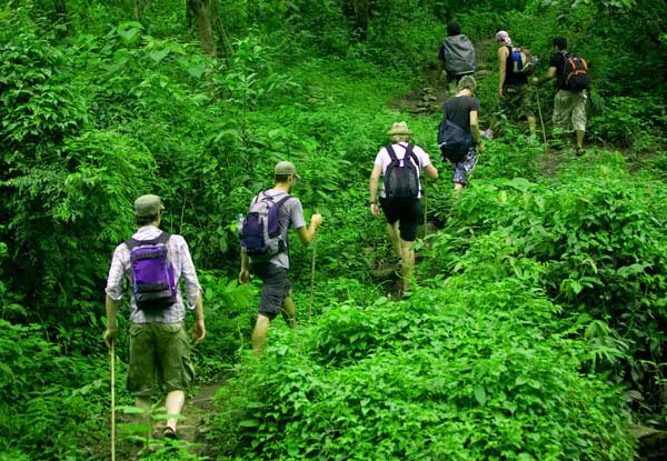 hiking group jounrey through the jungle on their holiday tour