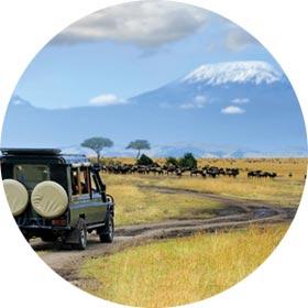 THE GREAT MIGRATION, WILDERBEAST, Safari in the Masai Mara, Kenya - solo travellers holidays