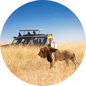 Safari in the Serengeti National Park, Tanzania - Singles adventures travel Safari in the Serengeti National Park, Tanzania - solo travellers adventure