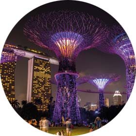 Garden Bay - City of Singapore, Singapore - Single travellers Asia Garden Bay, travel destination explore solo tours - Singapore, Singapore