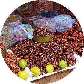 Markets in Oaxaca, Mexico - Singles Travel destination solo travel Oaxaca, Mexico