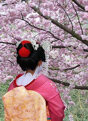 Southern Japan Southern Japan is a perfect destination for your april holiday, one of the best places to go in april