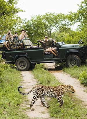 Cape, Safari & Falls Travel from South Africa to the Victoria Falls in September