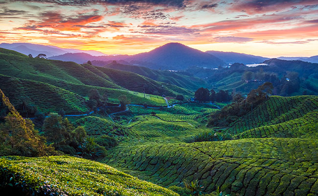 Sunset in the Cameron Highlights in Malaysia loyalty discounts