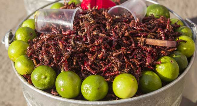one of the food experiences that are known to push boundries of tourist is attempting to eat the fried bugs and grasshoppers