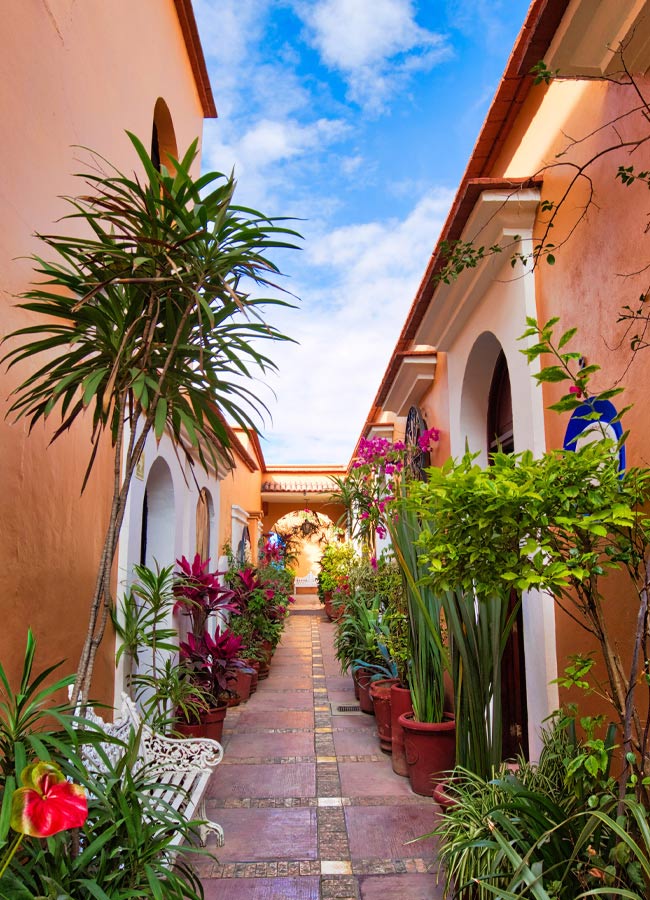 A beautiful alleyway in Oaxaca A colourful alleyway in central Oaxaca