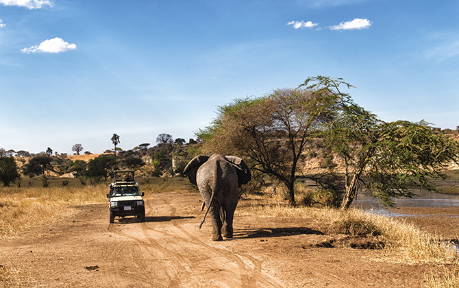 Travellers on a safari in the serengeti national park