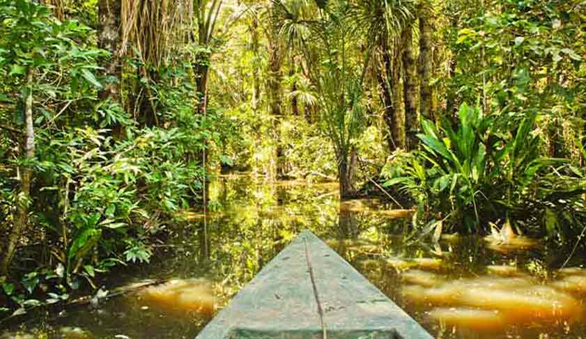 Cruising through the Amazon Cruising through the Amazon