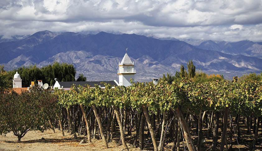 Vineyard in Cafayate, Argentina Vineyard in Cafayate, Argentina