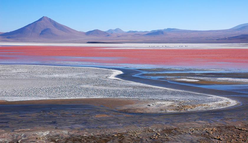 Laguna Colorada, Bolivia 