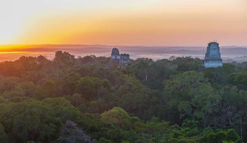 Sunrise above the Peten jungle with the pyramids of Tikal towering above the tree canopy in Guatemala.