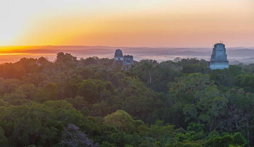 Sunrise above the Peten jungle with the pyramids of Tikal towering above the tree canopy in Guatemala. Sunrise above the Peten jungle with the pyramids of Tikal towering above the tree canopy in Guatemala.
