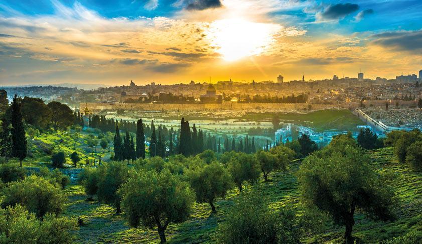 View of the Old City Jerusalem from the Mount of Olives with olive trees in the foreground View of the Old City Jerusalem from the Mount of Olives with olive trees in the foreground